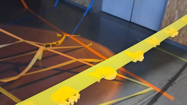 Atelier : Scratch – Image 6